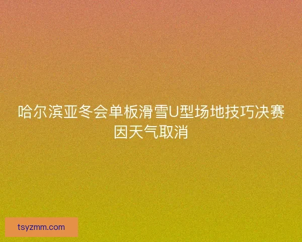 哈尔滨亚冬会单板滑雪U型场地技巧决赛因天气取消